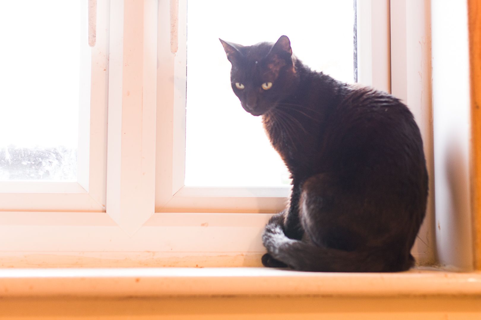 Onyx
