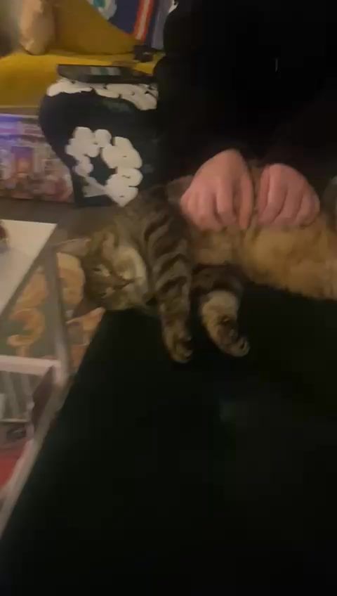 We need your help a…