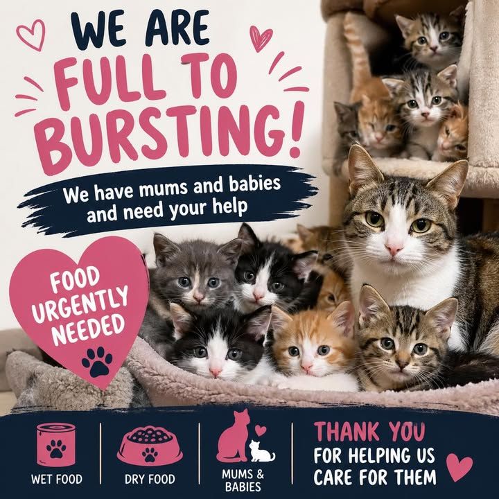 💔 WE ARE FULL TO B…