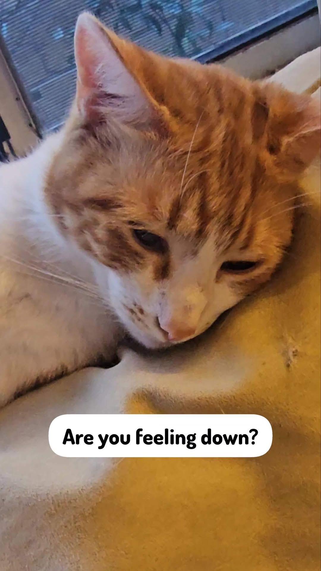 Happy Sunday
https…