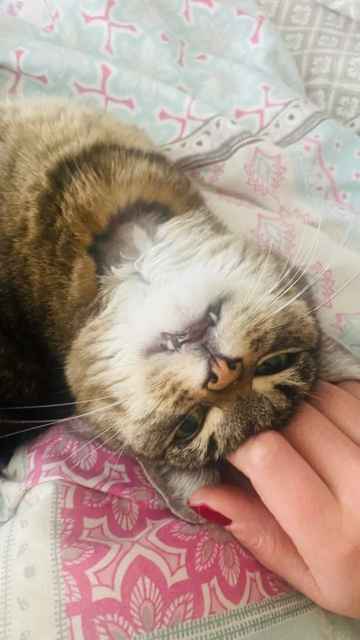 Pictures of gorgeou…