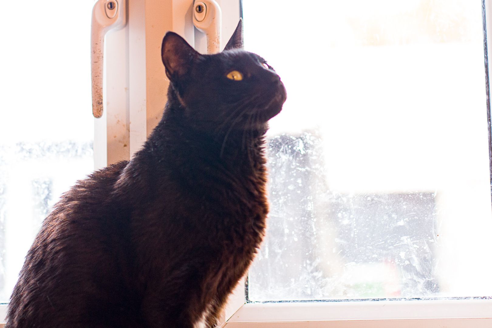 Onyx