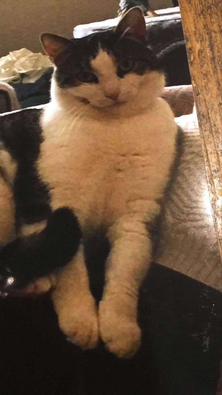 Bonnie and Jazz are…