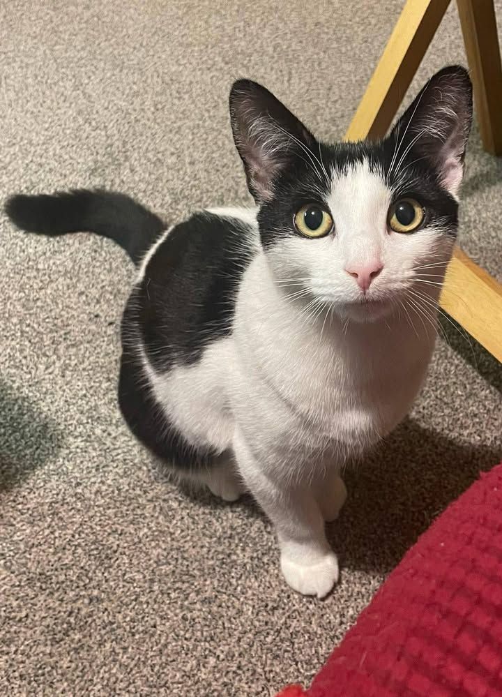 We managed to find…