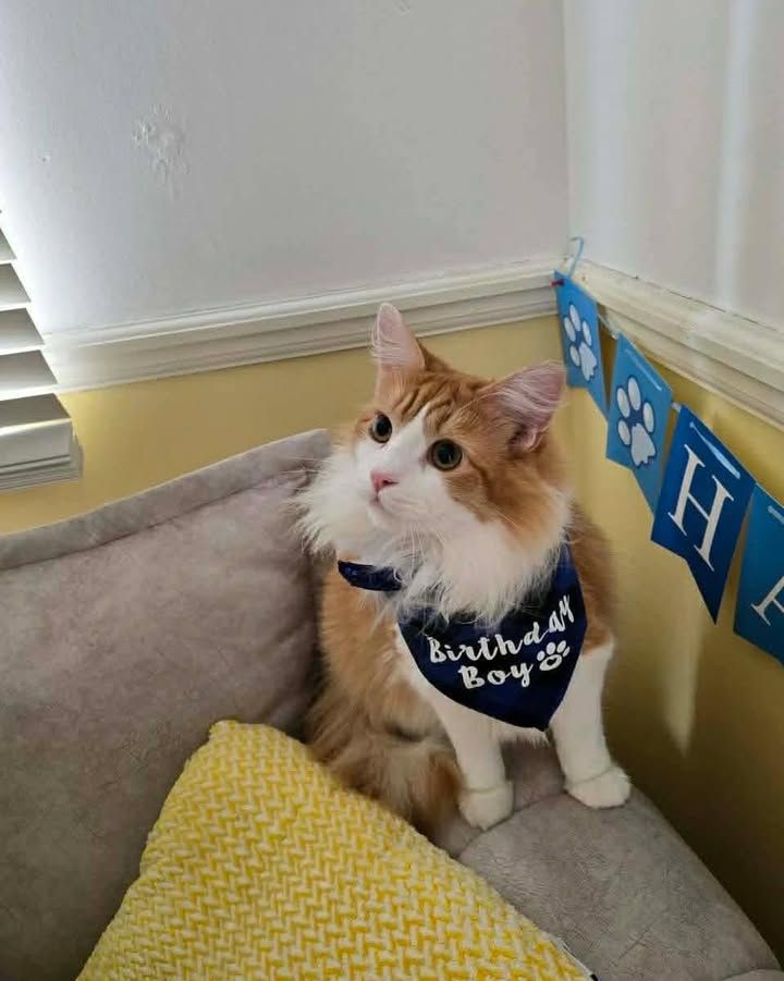 🐾 Looking for a lo…