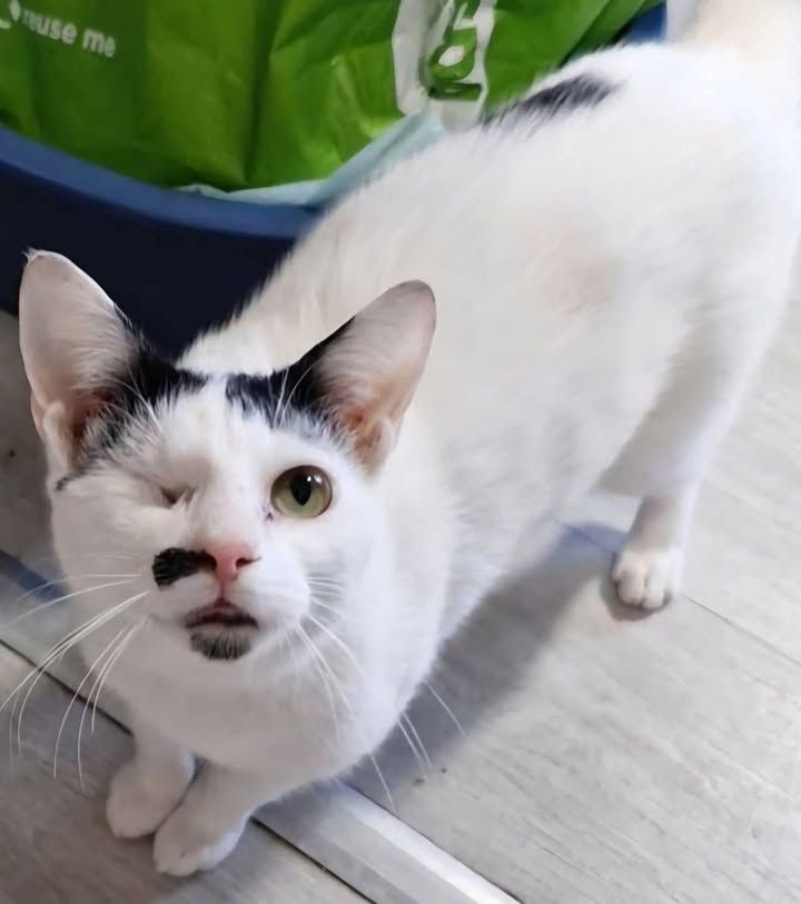 ✨ Mystic is still…