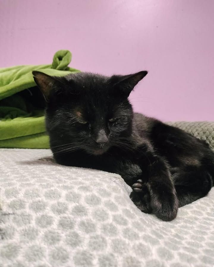 Meet Buddy & Eddy…