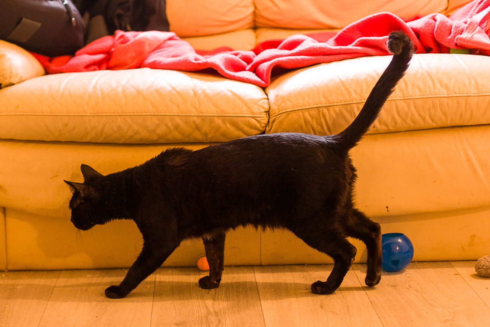 Onyx