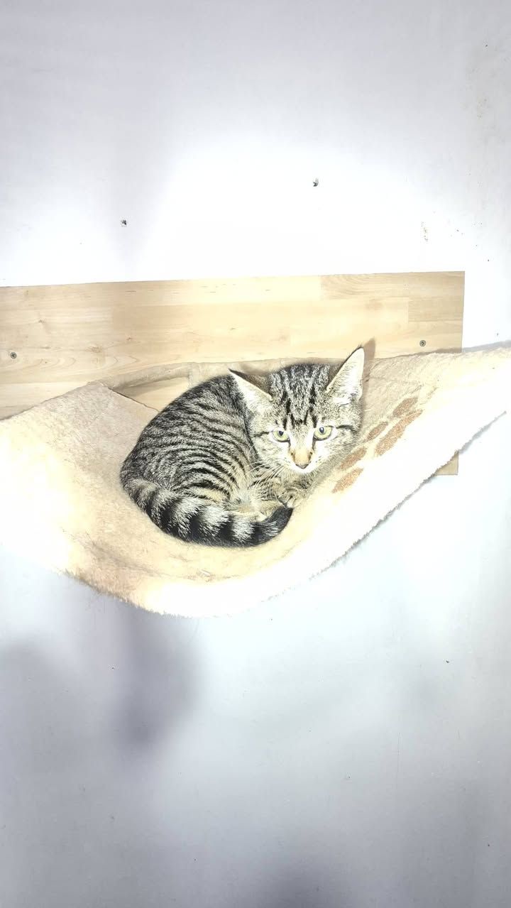 ***Now Homed

We ha…