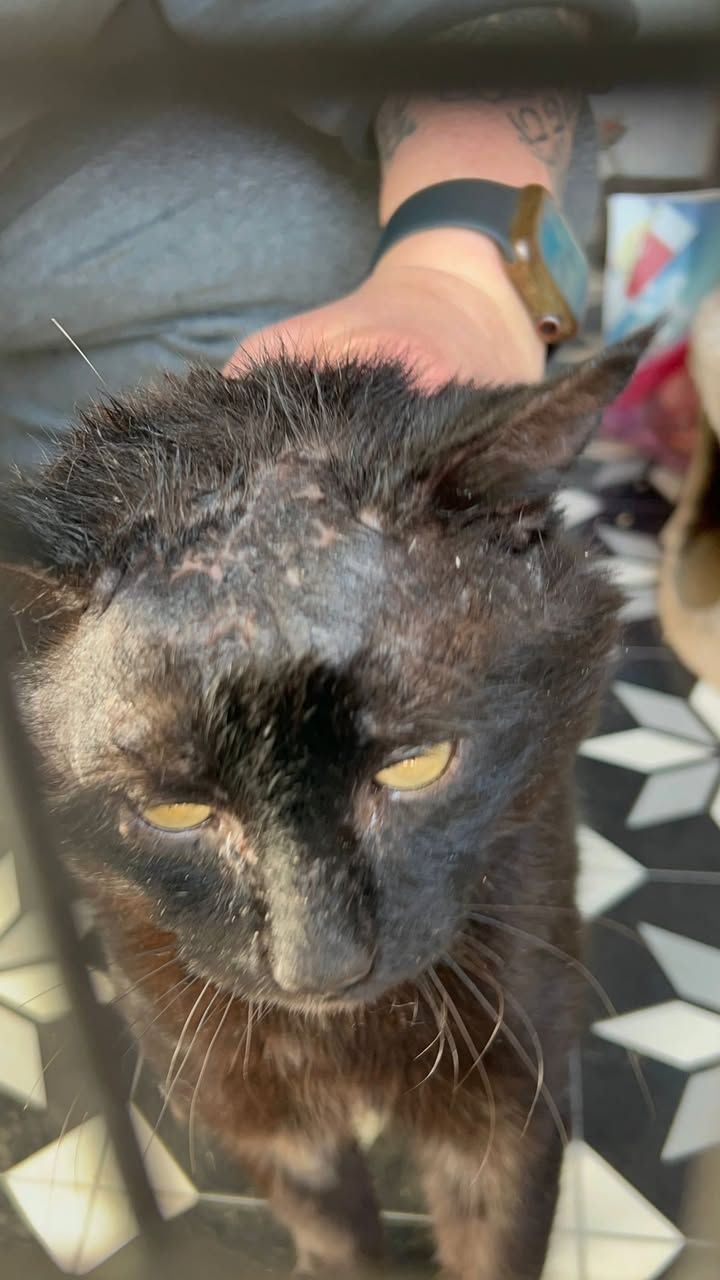 Does anybody recogn…