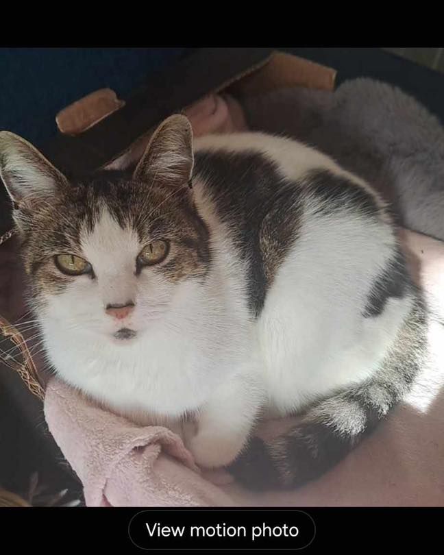 ***Potential New ow…