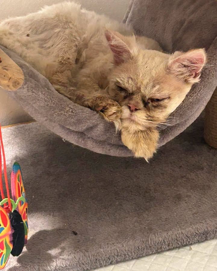 We are completely o…