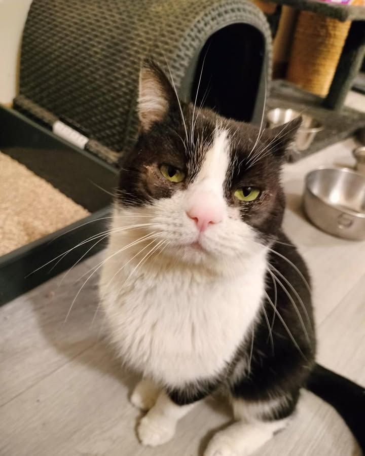 Meet Benson & Baile…