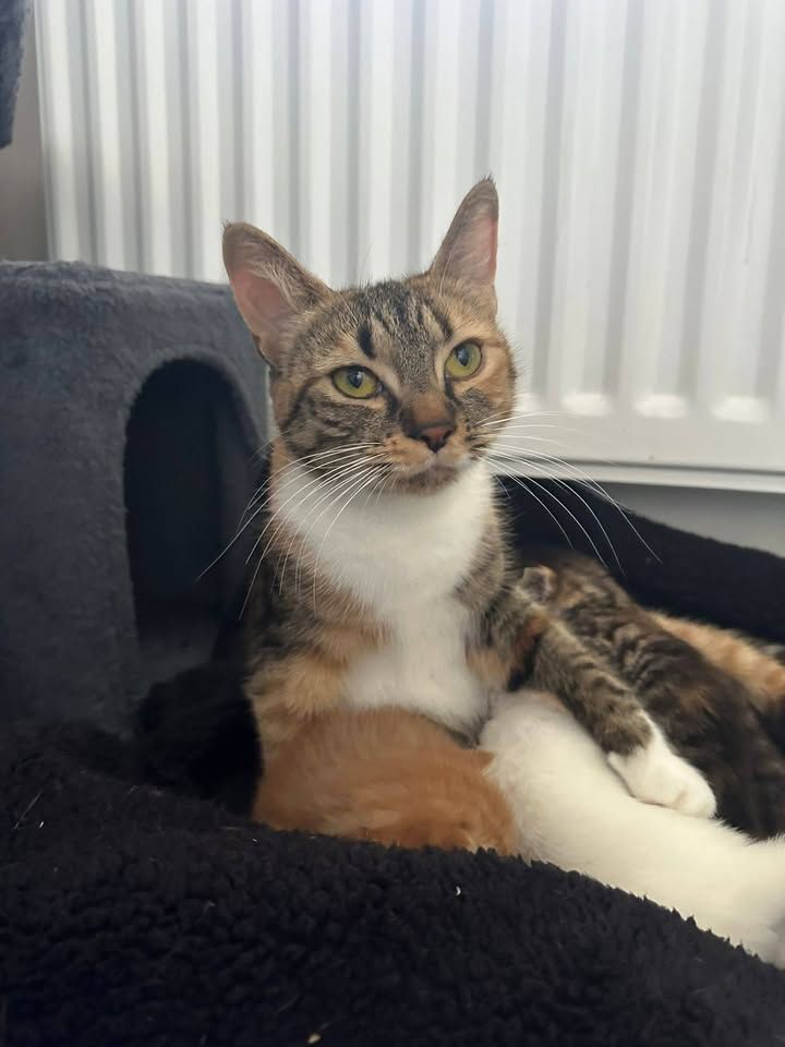 Is there anyone out…