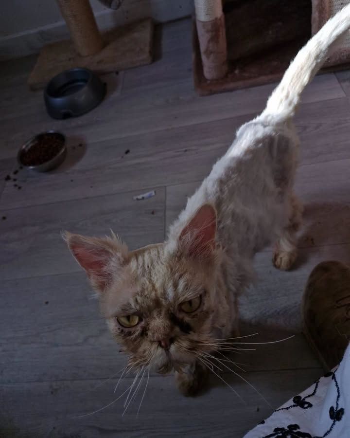 This week has been…