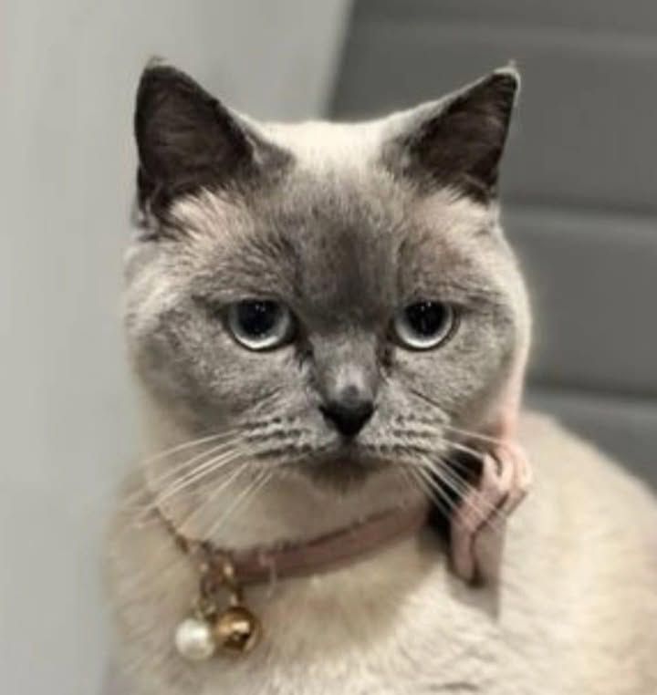 *We had LOTS of app…