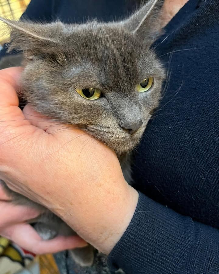 We understand that…