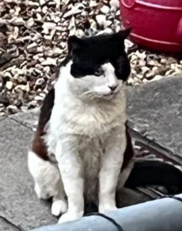 Does anyone recogni…