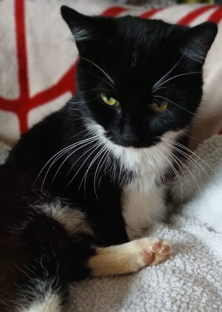 Here is our very sp…