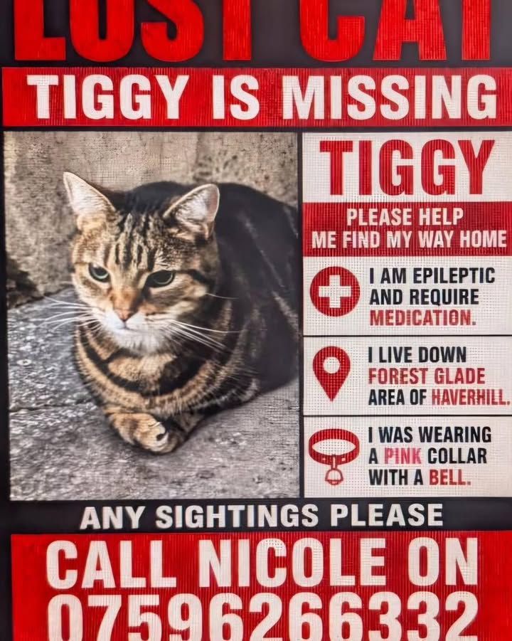 Missing from Forest…