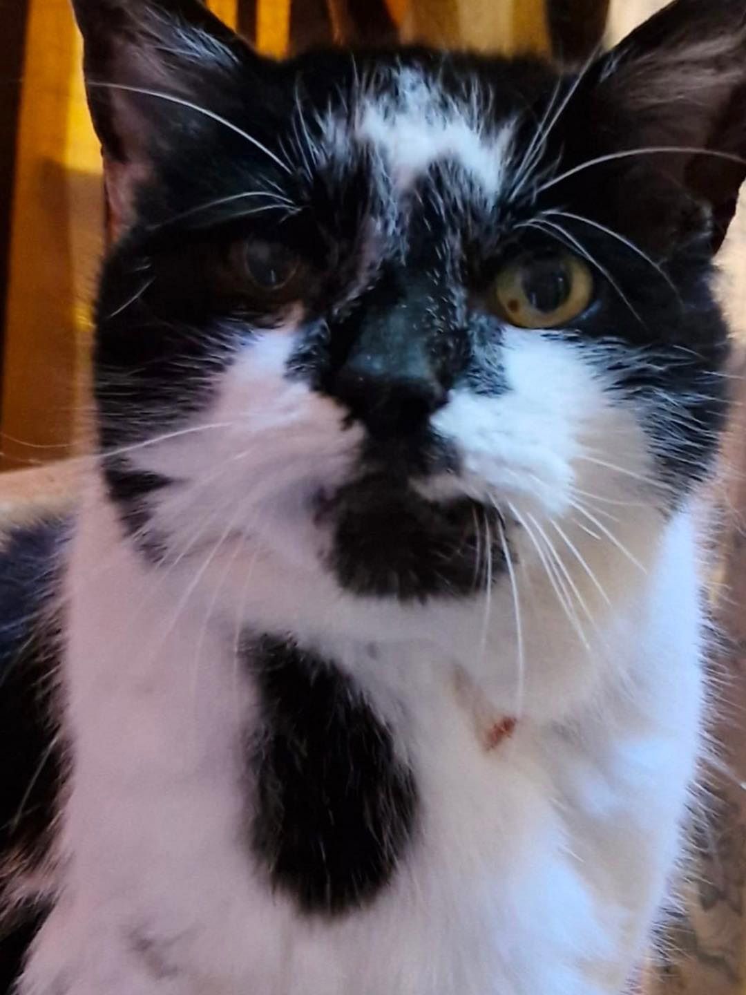 Tammy