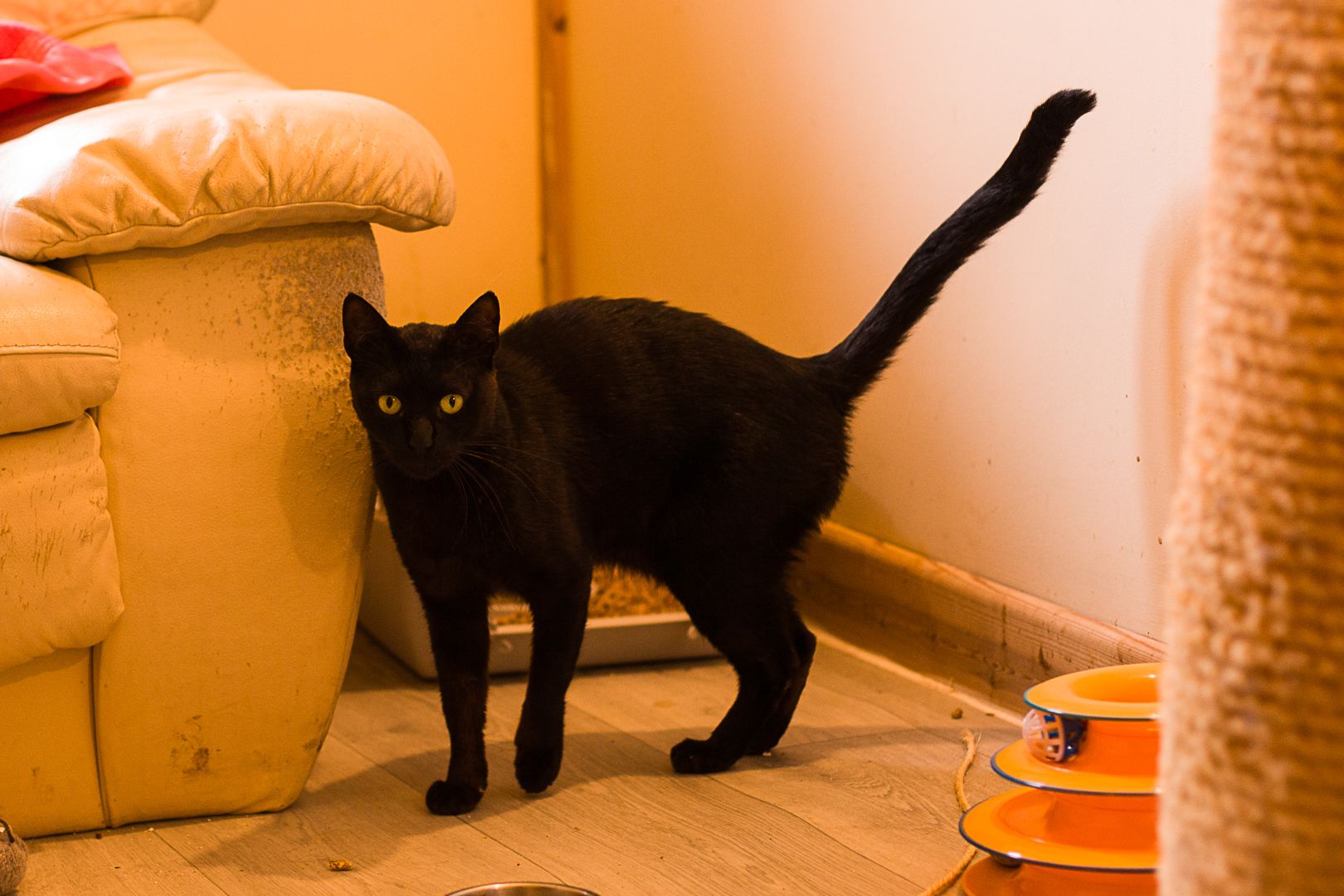 Onyx