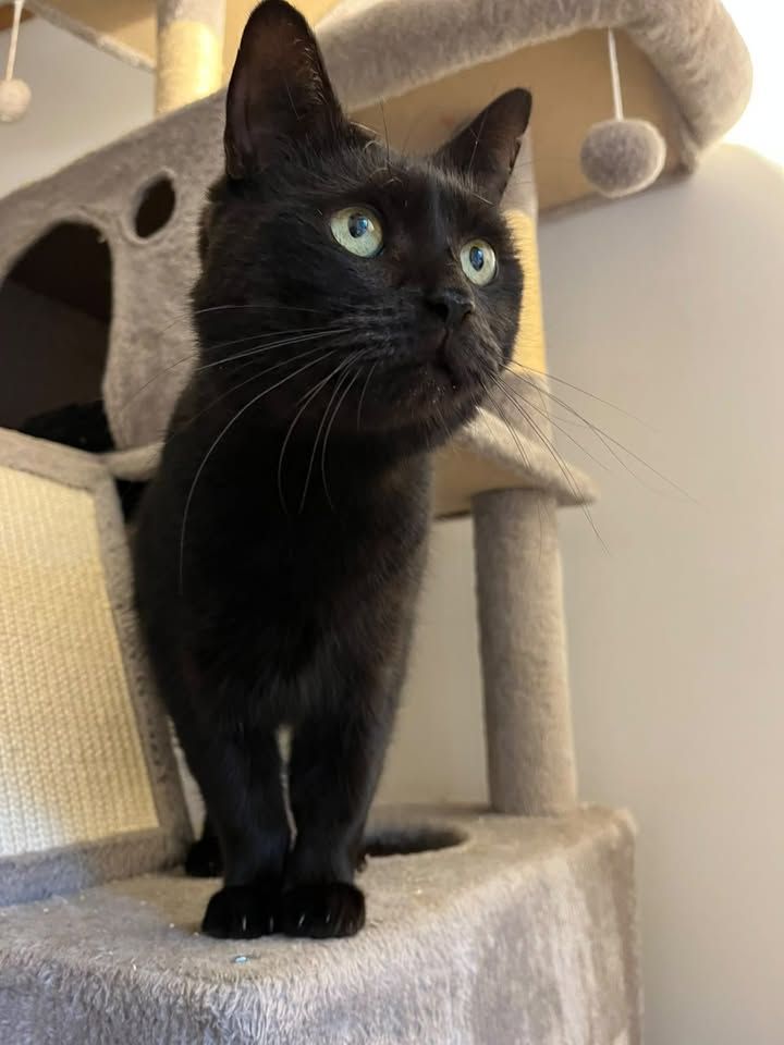 Our Prince Snook wi…