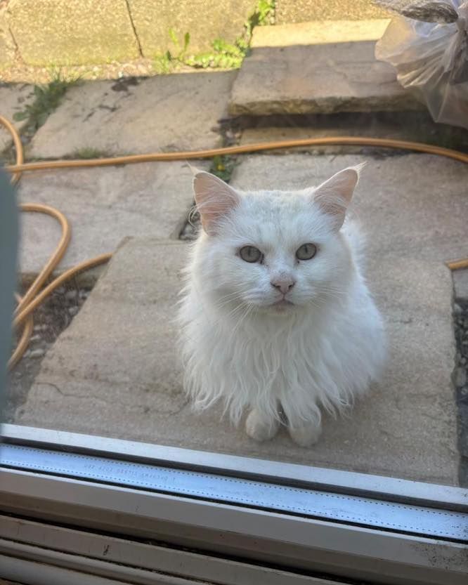 *Owner found*

Does…