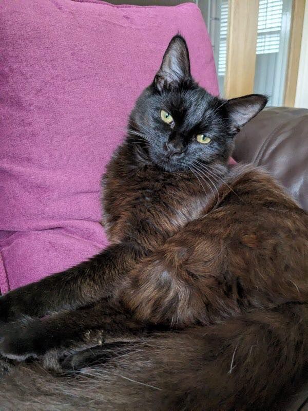 Leo