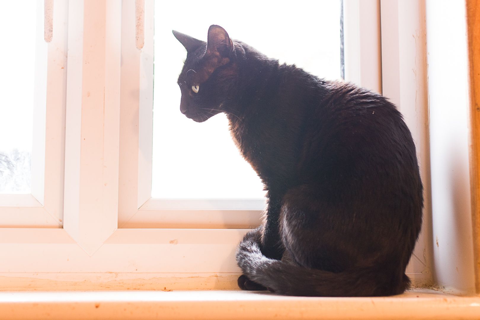 Onyx