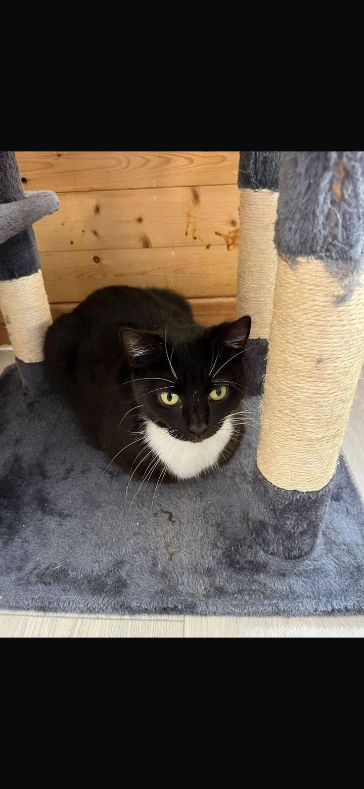 We have sooo many n…